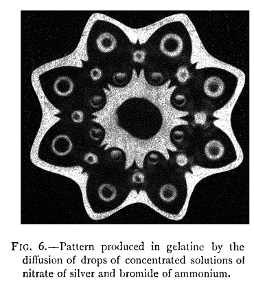 Primary-source scan of Leduc's Figure 6 showing a radial pattern produced in gelatine by diffusion.