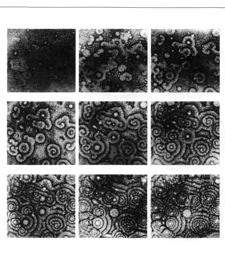 Primary-source scan of a Belousov-Zhabotinskii reaction photo montage from Prigogine's From Being to Becoming.